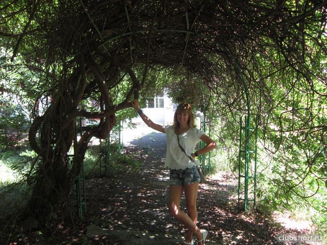 45039_image-1.jpg